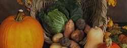 Harvest Supper Saturday 26th September 18:30* Read more